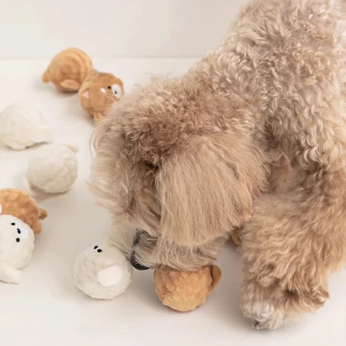 Squeaky Puppy Ball Toy - Spiked Bouncing Chew for Teeth Cleaning, Interactive Pet Toy for Small Dogs & Cats (Poodle/Bichon)