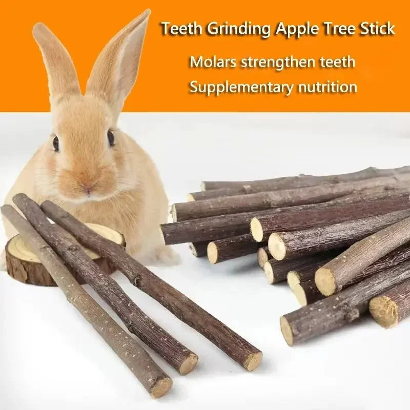 20/40/80/100pcs Hamster Rabbit Teeth Grinding Apple Tree Stick Minerals Molar Stone Toys for Chinchilla Hamster Pet accessories