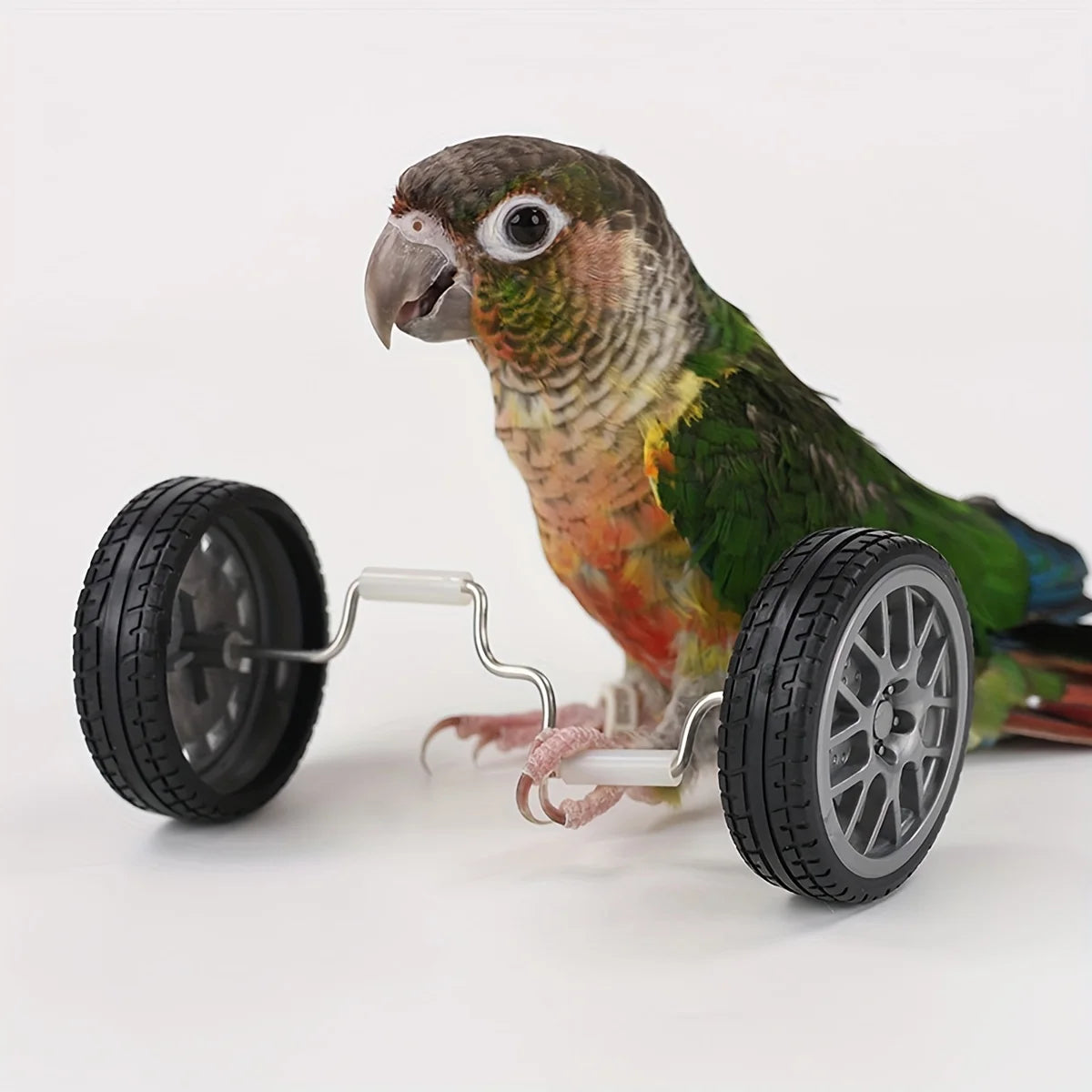 Creative Parrot Balance Toy Interactive Birds Toy Mini Intelligence Training Toy Pet Toy for Small Medium Birds Pet Supplies