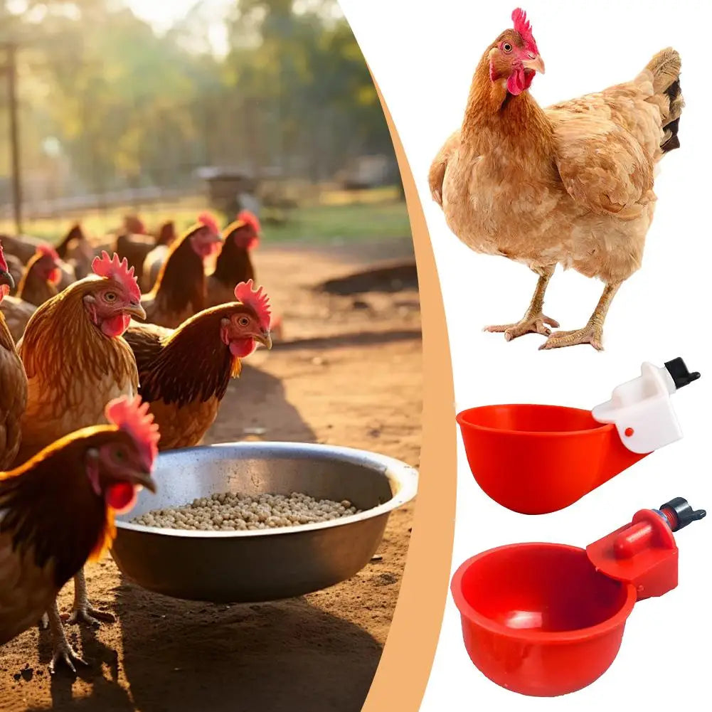 10 Pcs Automatic Poultry Drinking Bowl Chicken Waterer Cups Duck Drinking Machine Hanging Drinking Bowls Water Dispenser