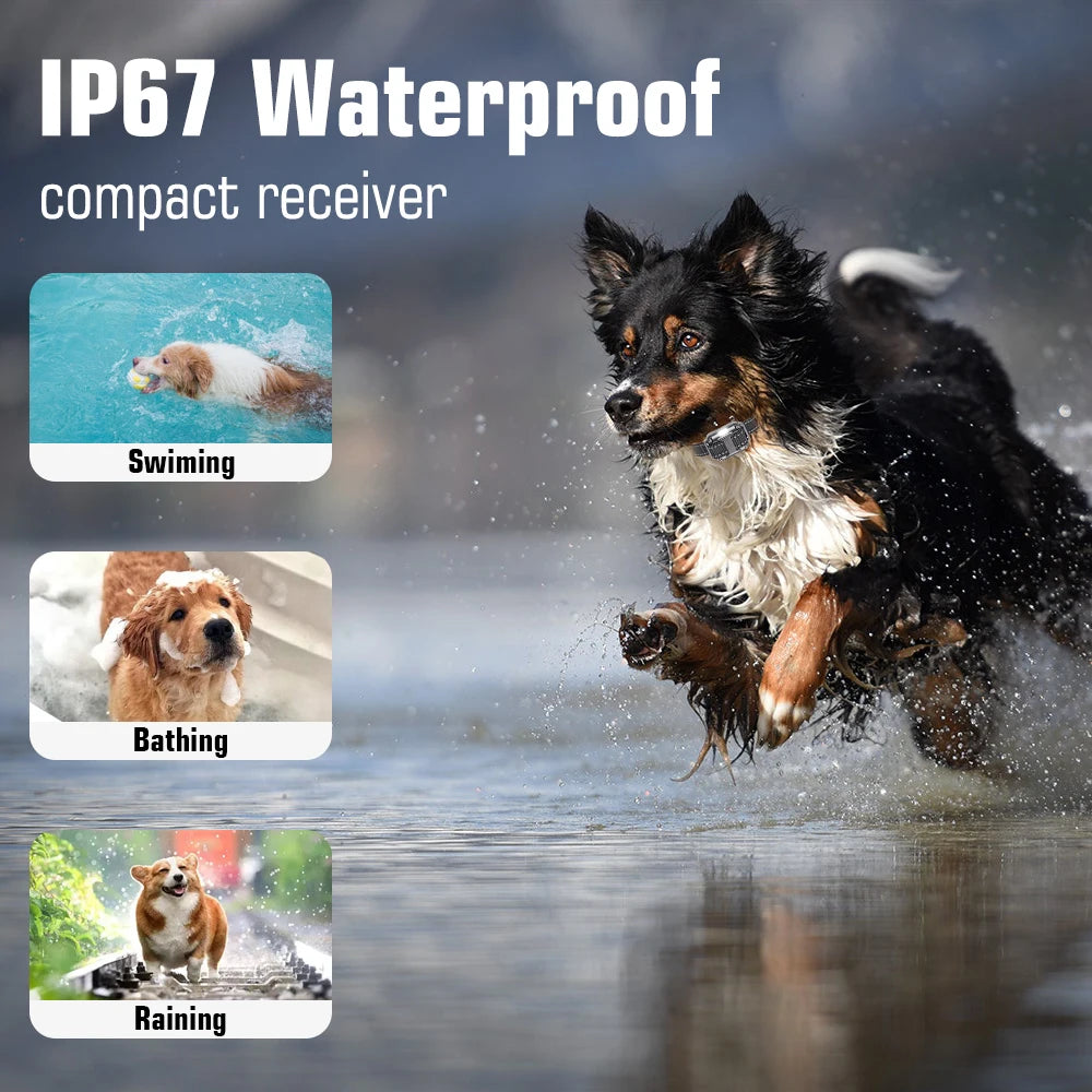 Dog Training Collar with Remote, IP67 Waterproof Dog Shock Collars, 3 Dogs, Large, Medium, Small Dogs, Rechargeable E Collars