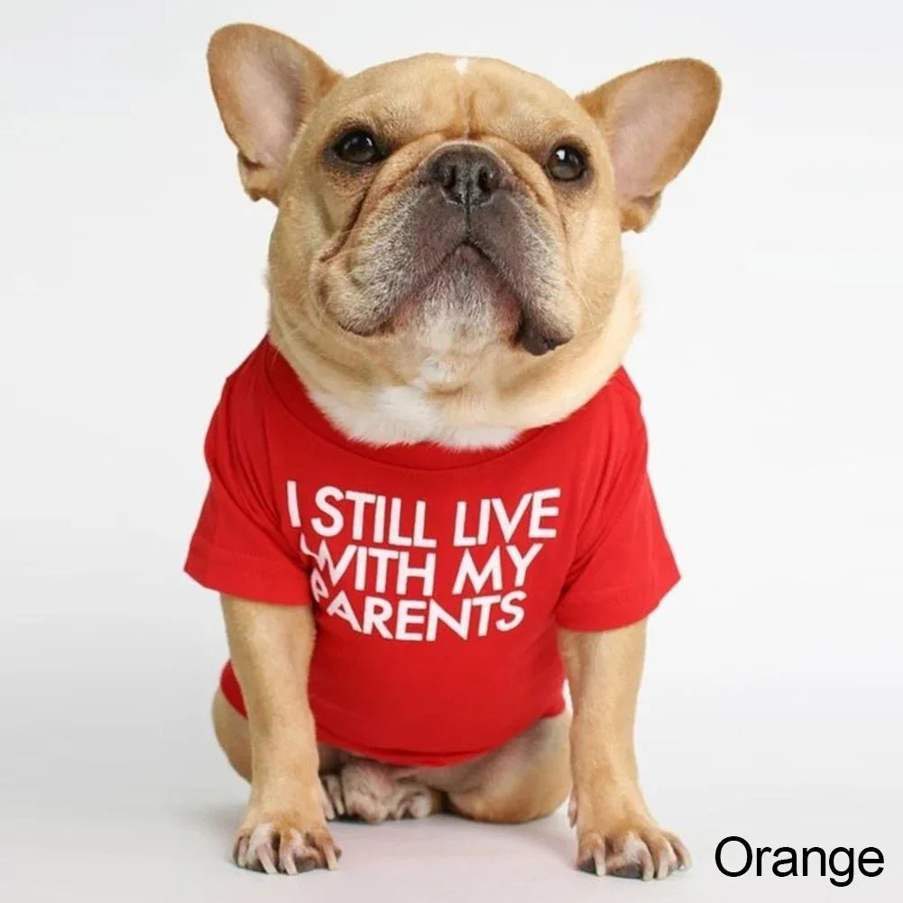 Summer Spring Dog Clothes Quality Breathable Pet Clothing Soft Letters Printed French Bulldog Clothes for Small Dogs T-shirt