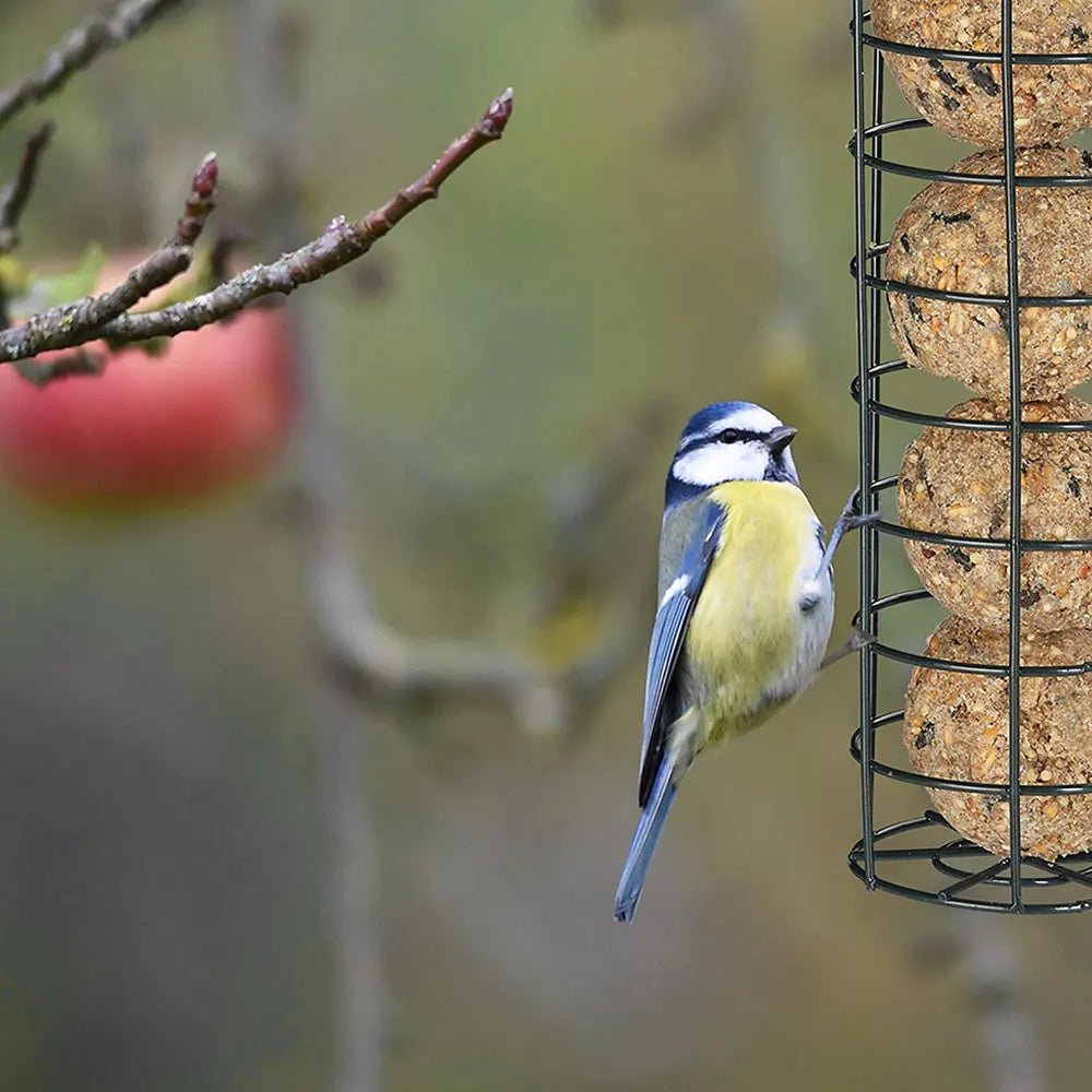 3PCS Wild Bird Feeder House Transparent Hanging Bird FeederGarden Patio Yard Feeding Station Pet Bird Supplies  Seed  Dispenser