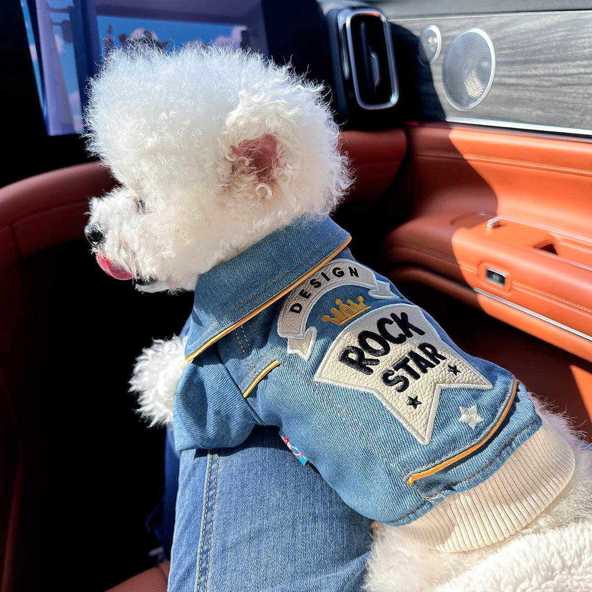 Rock Embroidery Blue Jacket Pet Clothes Dog Cat Spring Handsome Out Traction Clothes