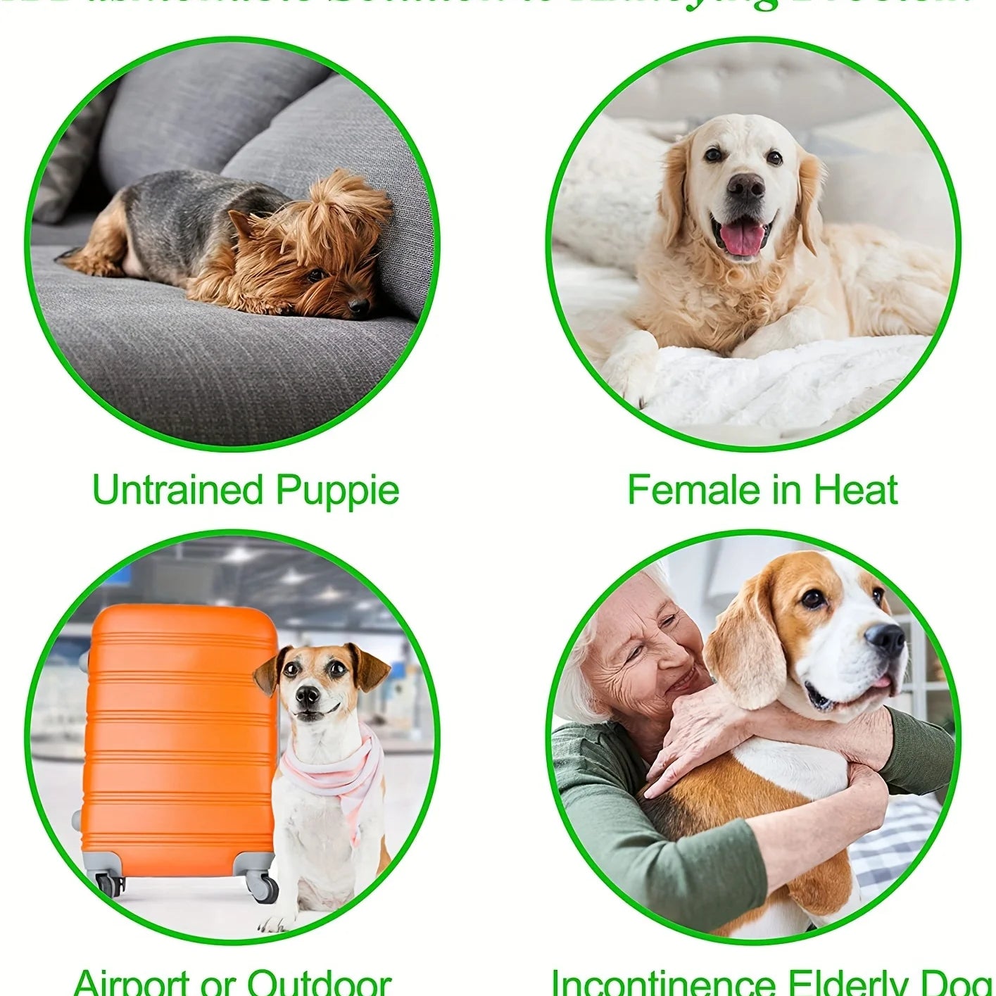 Washable Male Dog Diaper Cloth Underwear Pet Sanitary Panties for Puppy Reusable Nappy Belly Band Wrap Leak Proof Diapers