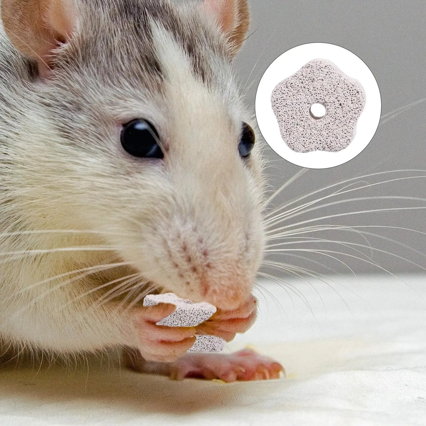 12 Pcs Molar Stone Pet Chew Toys Volcanic Rock Teeth Grinder for Hamster Rabbit Mineral 4x2cm Safe Chew Bright Color Creative