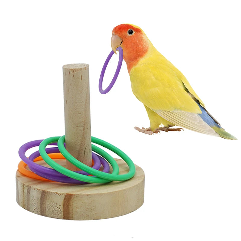 Parrot Bird Toy Parrot Bite Chewing Toy Pet Bird Swing Ball Standing Toy Plastic Rings Training Intelligence Toy Game Supplies