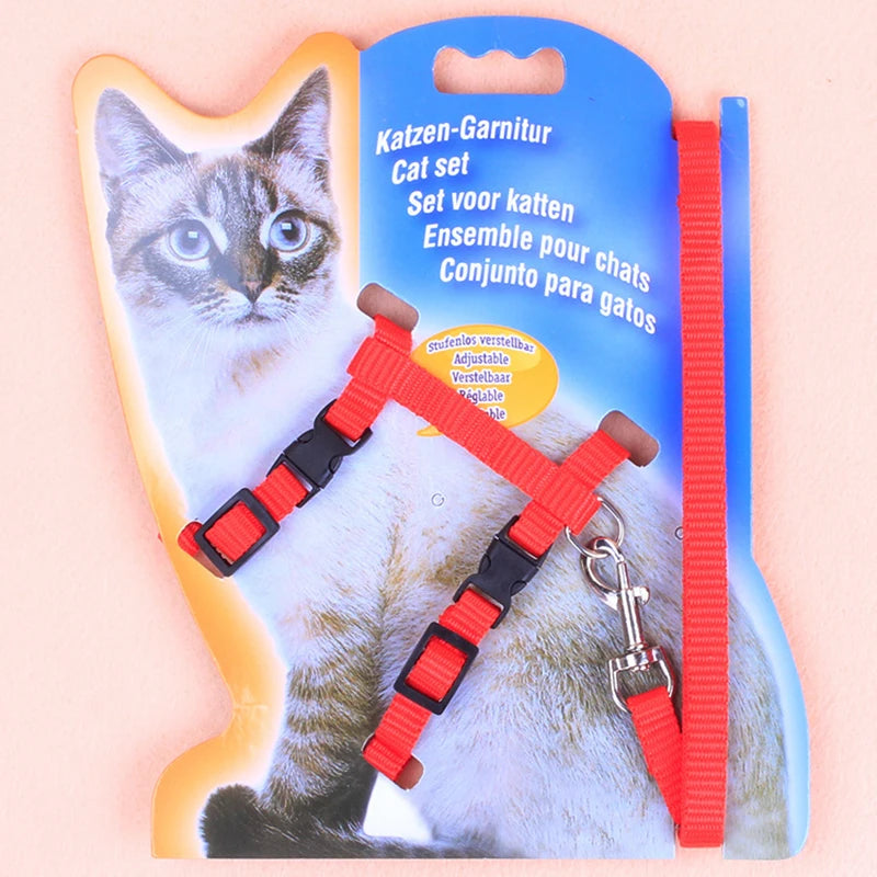 Cat leash I-shaped special dog leash for going out is firm and safe paper jam chest and back pet supplies