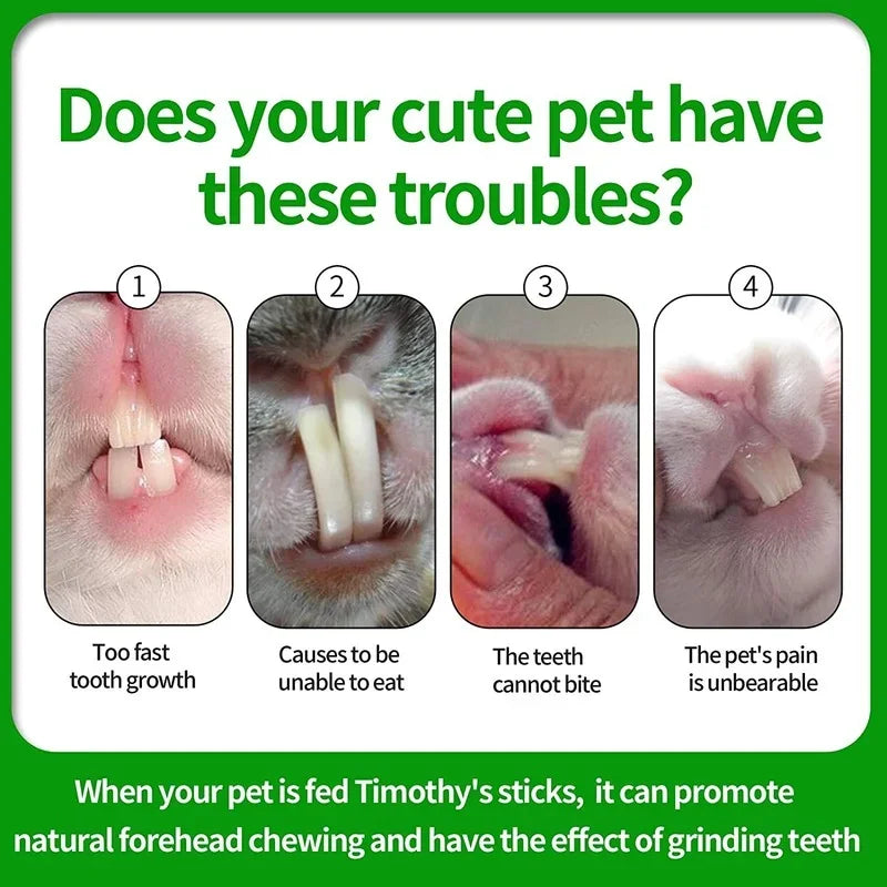 Pets Chewing Toys Carrot Timothy Hay Molar Sticks for Rabbits Guinea Pig Hamsters Chinchilla Bunny Chew Toys Teeth Treats