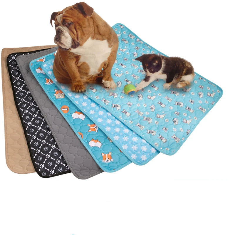 Reusable Absorbent Dog Pee Pad Blanket Washable Puppy Training Mat Comfortable Pet Bed Urine Mat for Car Seat and Home Use