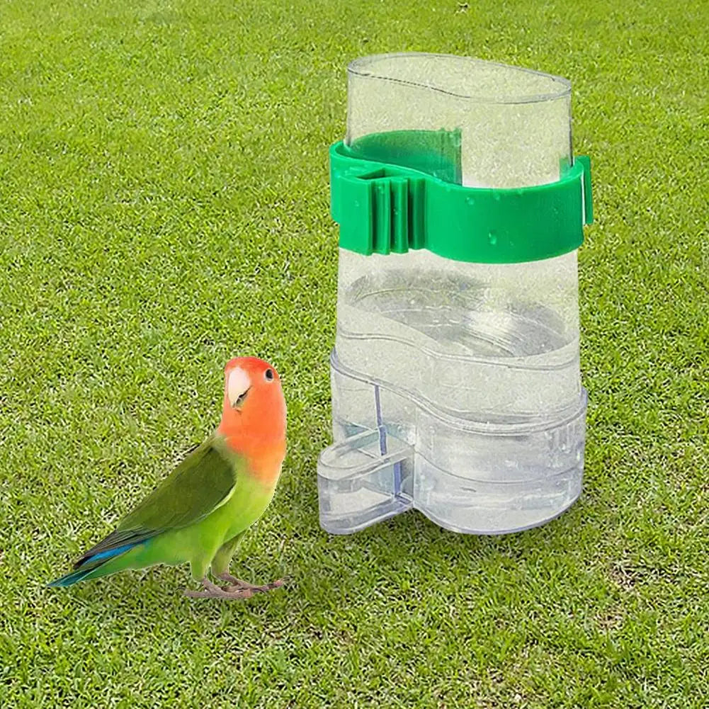 Automatic Bird Water Dispenser Bird Drinking Feeder Transparent Bird Cage Water Fountain for Budgie Cockatiel Lovebird Canary