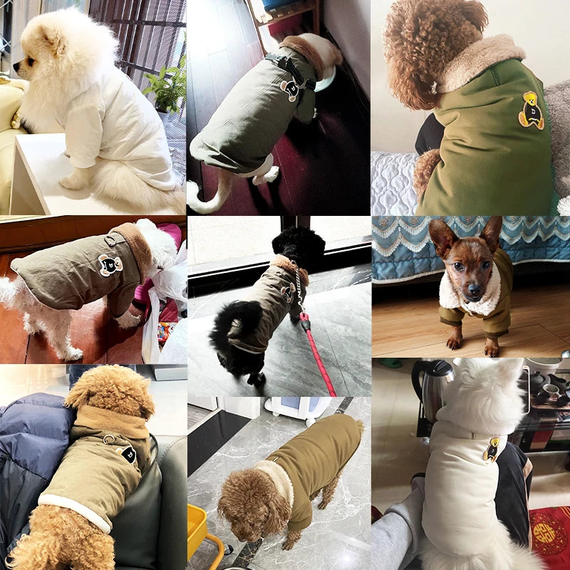 Winter Dog Clothes Luxury Bear Print Fur Collar Windproof Jacket Chihuahua Yorkies Warm Coat Puppy Outfit Clothing Pet Costume
