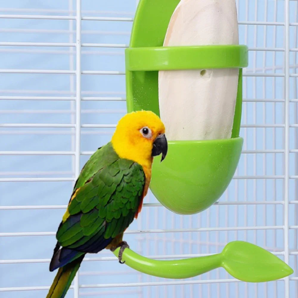 Bird Cage Cuttlebone Holder Bird Feeding Holder Vegetable Fruits Cuttlefish Bone Holder for Parrot Budgies Parakeet Cockatiel