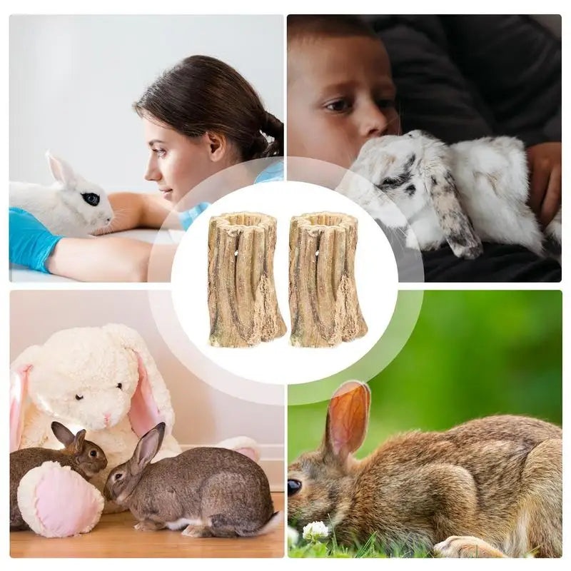 Hamster Chew Sticks 2X Wood Bunny Chewing Treats Natural Papaya Pet Teeth Care Supplies Healthy Teeth Grinding Toys For Indoor