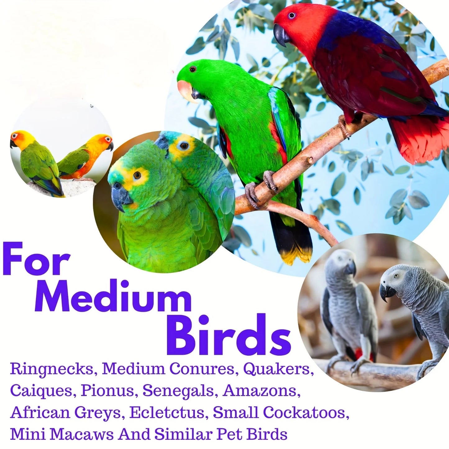 Colorful Interactive 4pcs Parrot Cage Toys - Bolt & Wing Nuts Design For Conures, African Greys & More Foot Talons