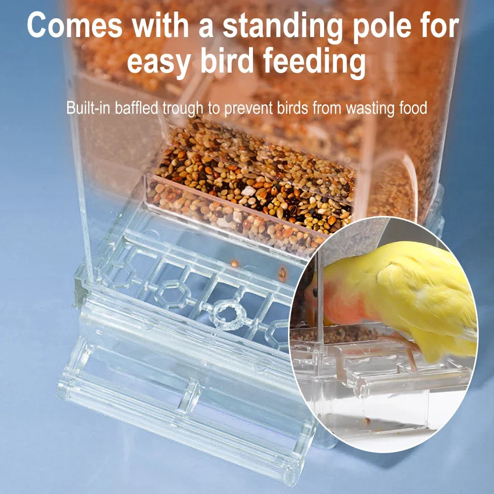 Parrot Bird FeederSpill-proof Automatic Dispenser Splash-proof Outside FeederBird Feeder Tiger Peony Phoenix Bird Supplies