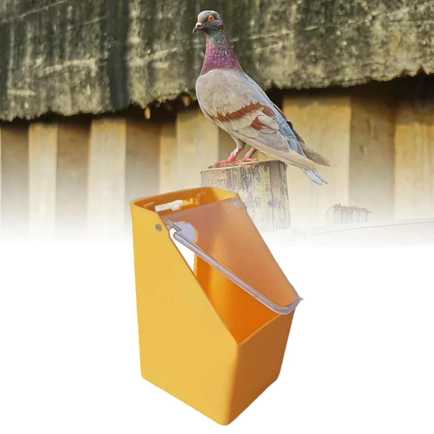 Plastic Birds Water Feeder Hanging Pigeon Food Dispenser Drinker Parrot Feeding Bowl Box for Bird Feeding Supplies
