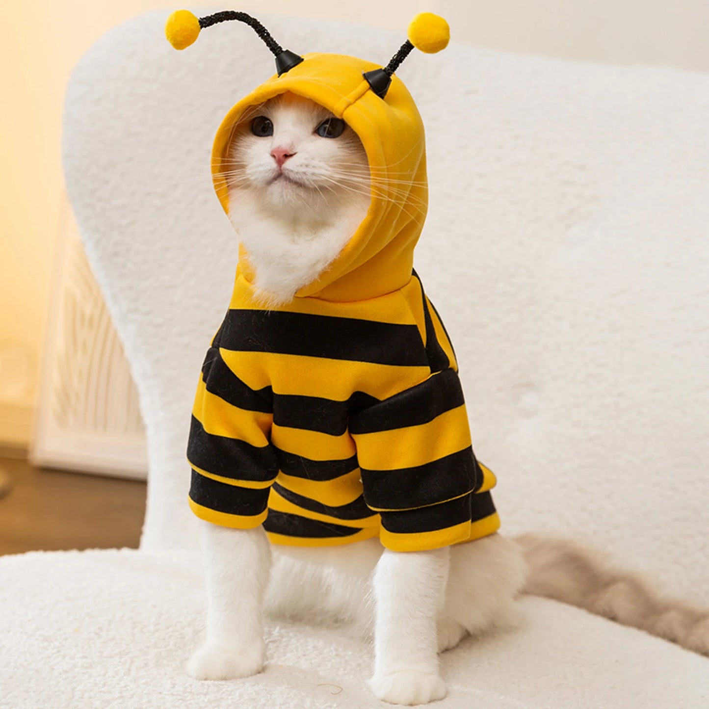 Cats Costume Pet Bee Halloween Costume Small Pets Apparel Fashion Adorable Cats Hoodies