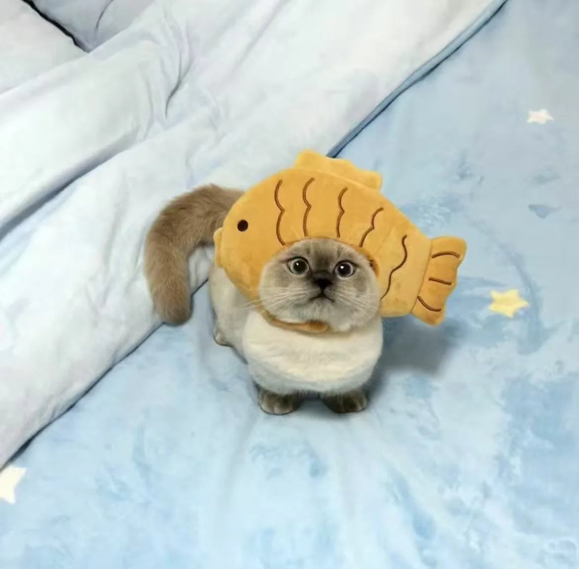 Pet Fish Head Hat Puppy Kittens Knitted Hat Party Cosplay Cute Refined Cat Hat Plush Elastic Winter