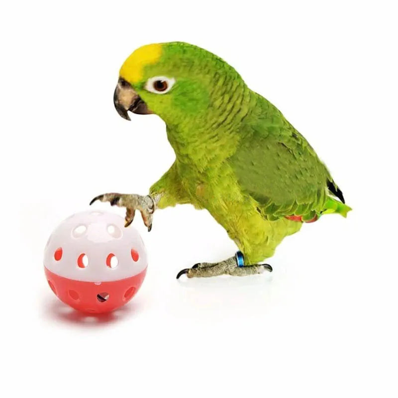 10pcs Parrot Toy Balls Fun Colored Hollow Bell Ball Sound Bird Toy Parakeet Training Interactive Chew Toys Pet Bird Supplies