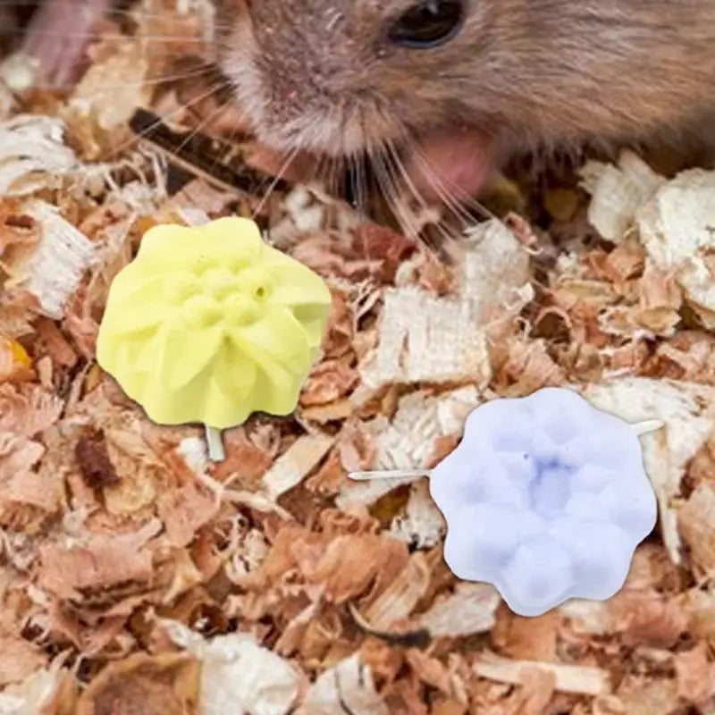 Hamster Pumice Mineral Treats Small Animal Mineral Calcium Stone 5PCS Bunny Teeth Grinding Stone For Chinchillas Rabbits Gerbil