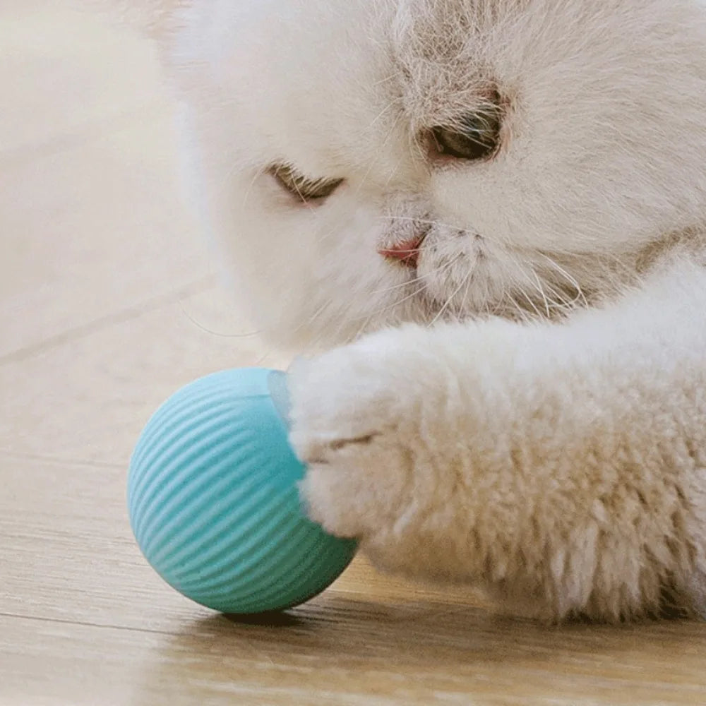 Cat Interactive Ball Smart Pet Toy for Indoor Fun
