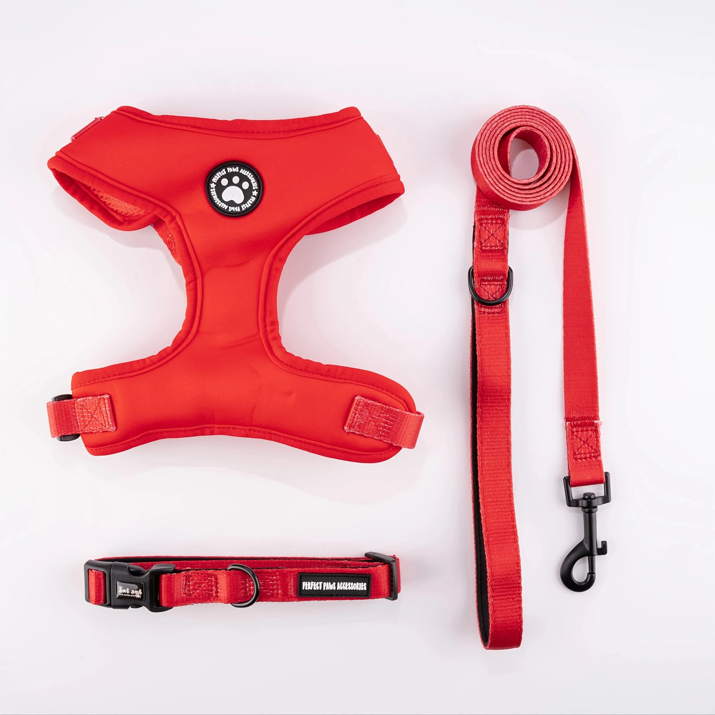 Harness for Cats Collar, Harness, Leash Accessories Pets Goods Kitten Pet Products Things Breast-band Supplies Kittens