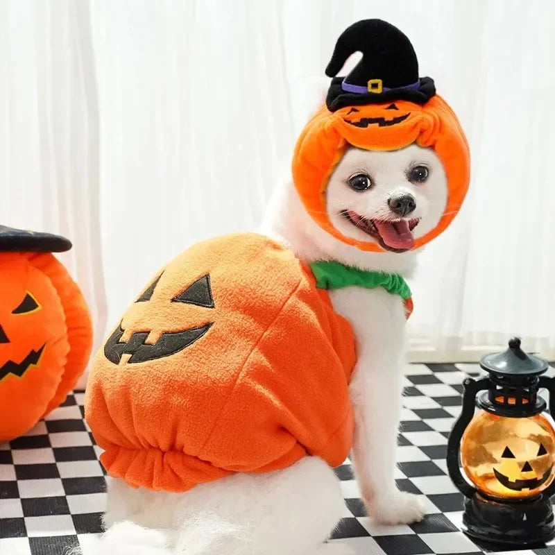 Funny Dog Halloween Christmas Pumpkin Lantern Transformation Outfit halloween dog Cat Two Legged Pet Cute Pumpkin Hat Dog Jacket