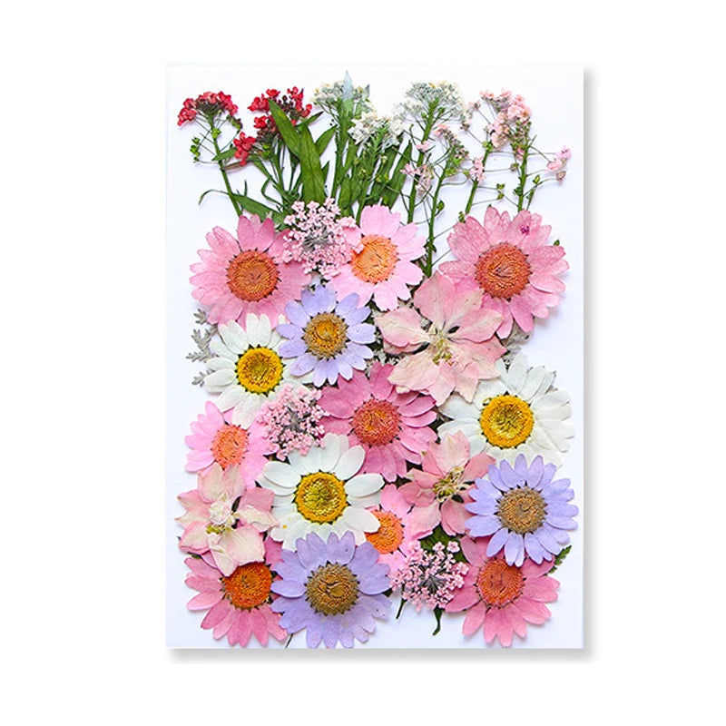 Dried Flowers Real Natural Plant Pressed Flower for Epoxy Resin DIY Keychain Pendant Jewelry Making