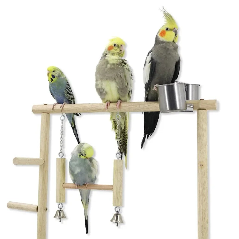 Parrot Playstand Bird Plays Stand Cockatiel Playground Wooden Perch Gym Playground Ladder with Metal Feeder Plate Toy