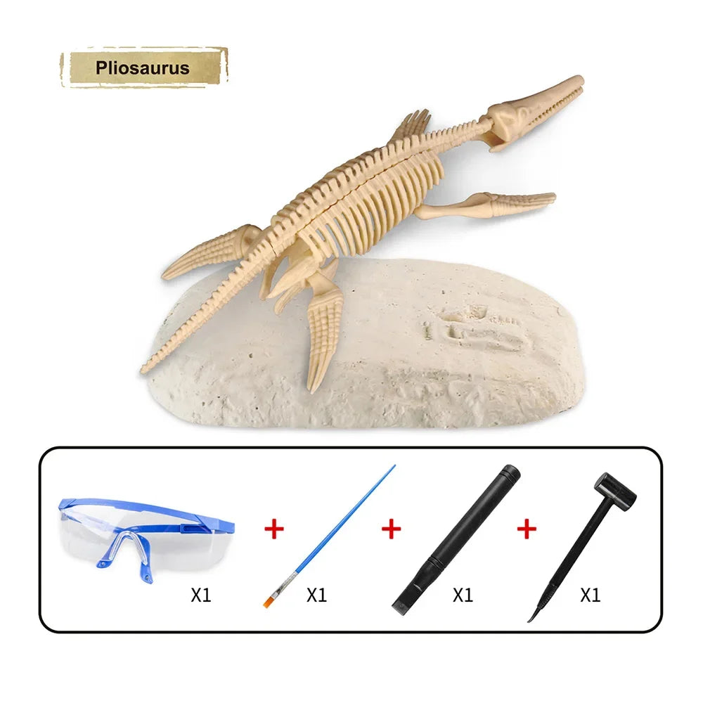 Dinosaur Fossil Excavation Kit for Kids Educational Archaeological Digging Adventure with Realistic Skeleton Models Perfect Gift for Boys and Girls