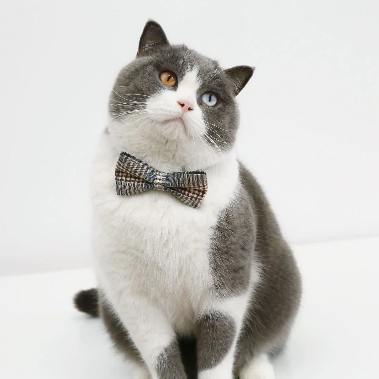 1pc Adjustable Plaid Cat Collar with Bow Tie - Adjustable Comfortable Collar, Perfect for Holiday Dress Up and Everyday Wear
