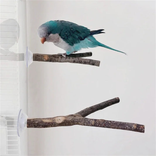 3pack Parrots Wall Bath Standing Rack Suction Cup Station Poles Interaction Toy for Budgies and Similar Birds