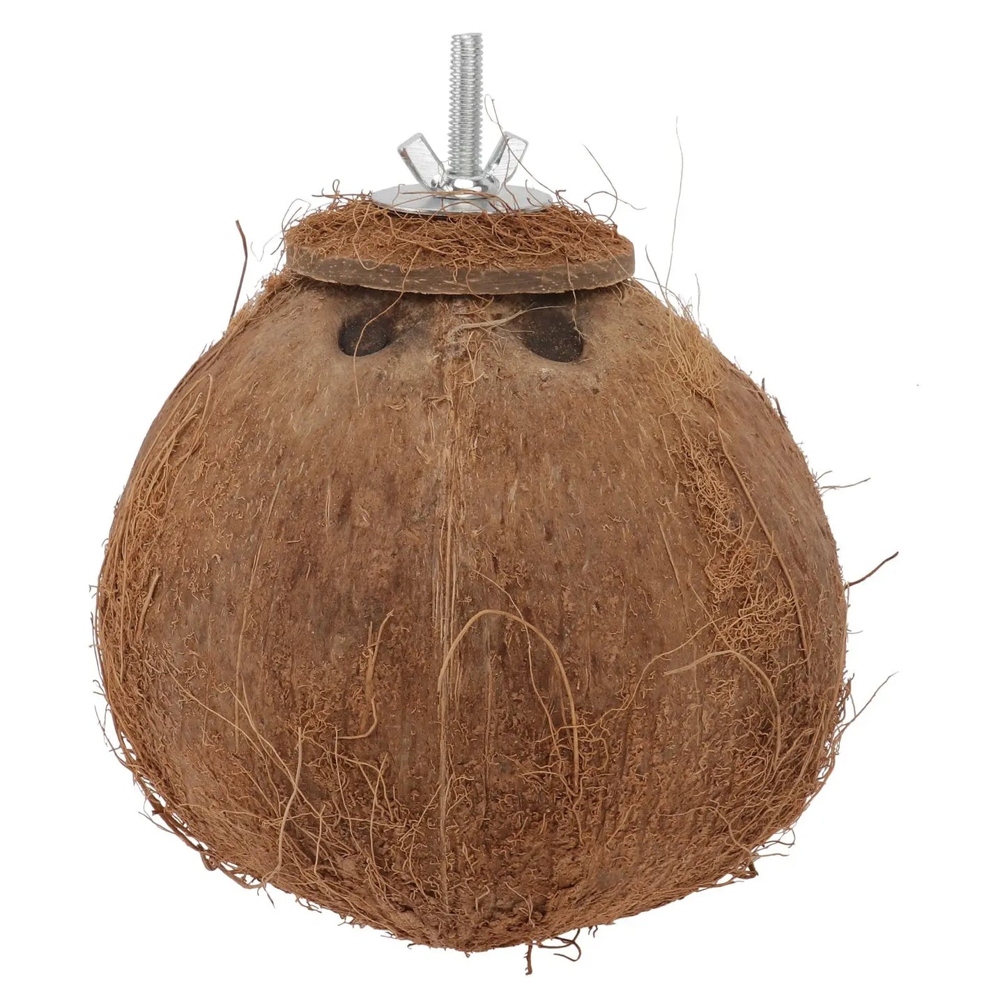Coconut Shell Bird Nest Pet Parrot House Birds Toy Animals Biting Plaything Cages Natural Hamster  jaula palomas casa passarinho