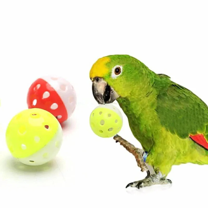 10pcs Parrot Toy Balls Fun Colored Hollow Bell Ball Sound Bird Toy Parakeet Training Interactive Chew Toys Pet Bird Supplies
