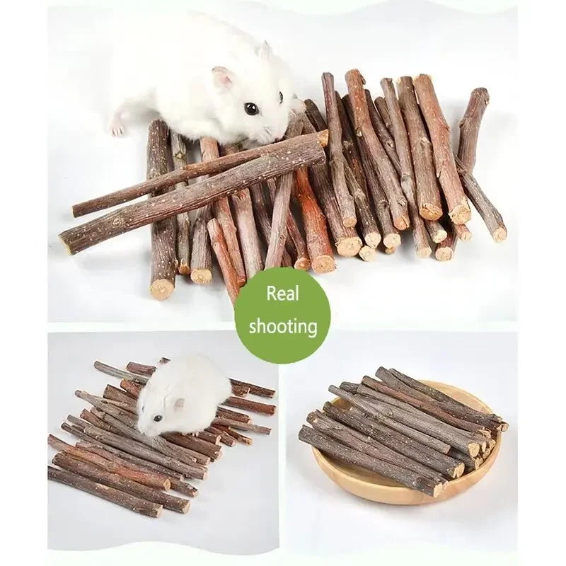 20/40/80/100pcs Hamster Rabbit Teeth Grinding Apple Tree Stick Minerals Molar Stone Toys for Chinchilla Hamster Pet accessories