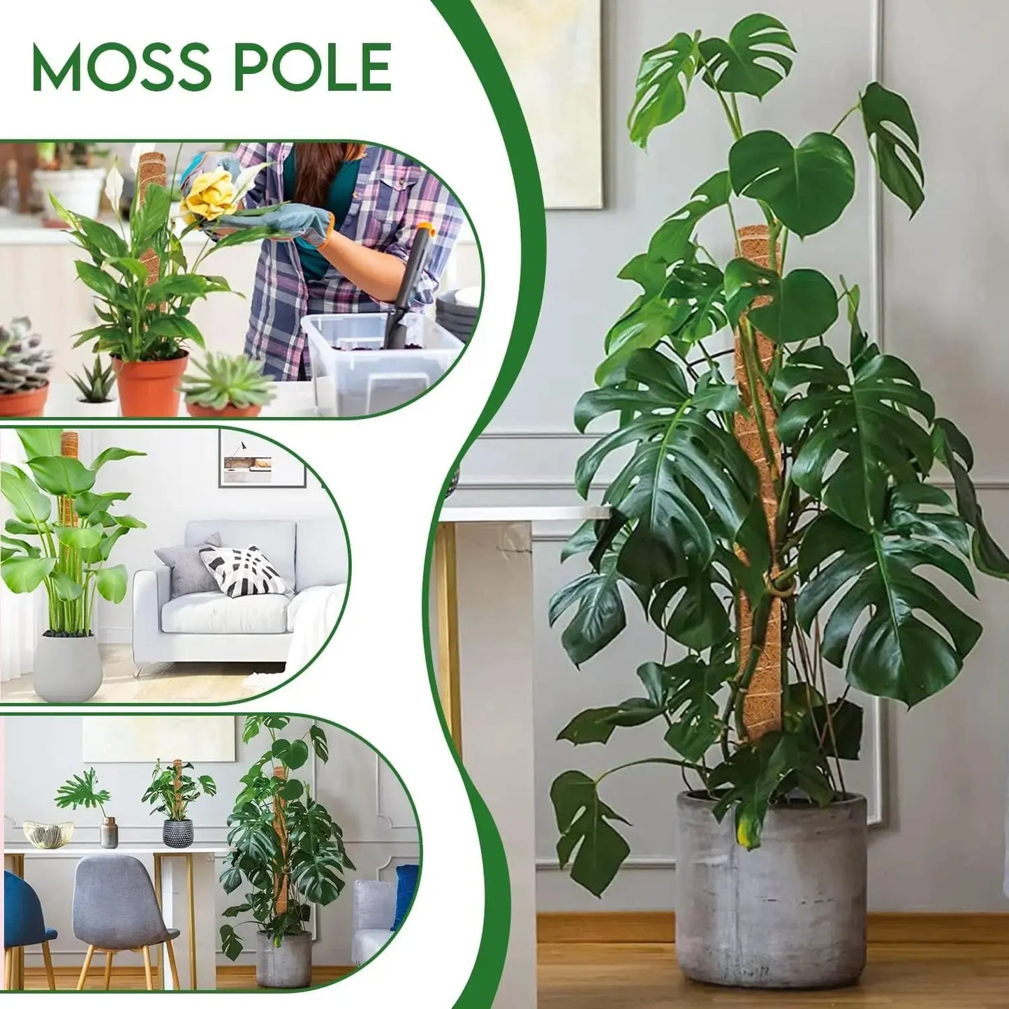 Extendable Handmade Moss Pole For Plants Monstera, Plant Climbing Rod Plant Pole For Climbing Plants, Real Handmade Moss Stick F