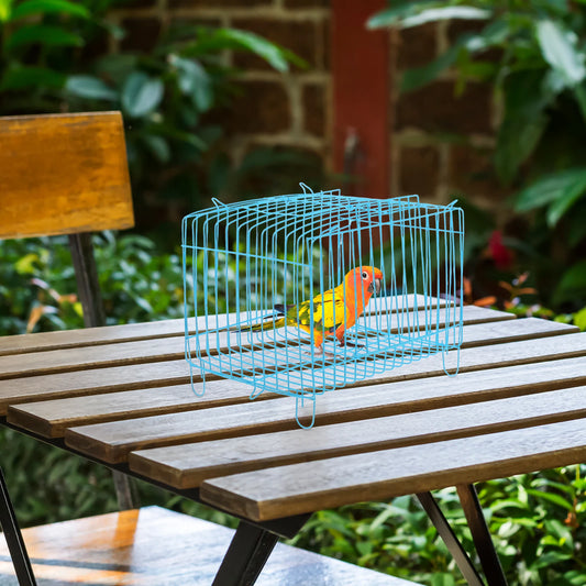 Portable Bird Cage Small Birds Carrying Cage Blue Square Parrot Handcage For Outdoor Lightweight Wire Breathing Carrier Travel