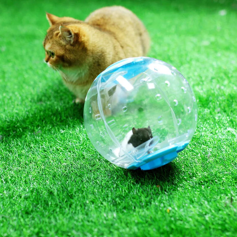 Hamster Running Ball Toy Golden Bear Transparent Crystal Running Ball Pet Sports Equipment