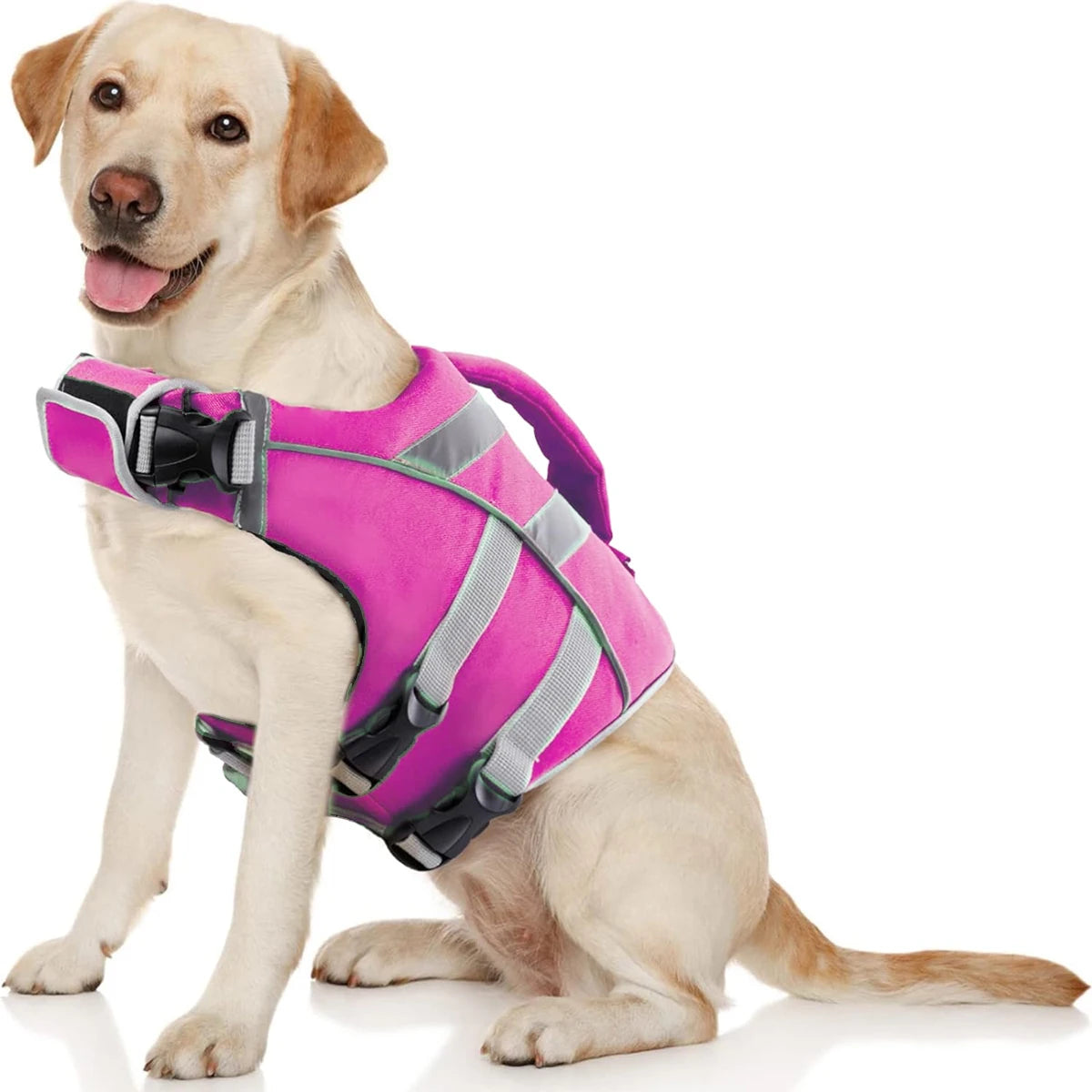 Ensure Your Dog's Water Adventures are Safe and Stylish: Premium Waterproof Dog Life Jacket with Reflective Stripes, Extra Stick