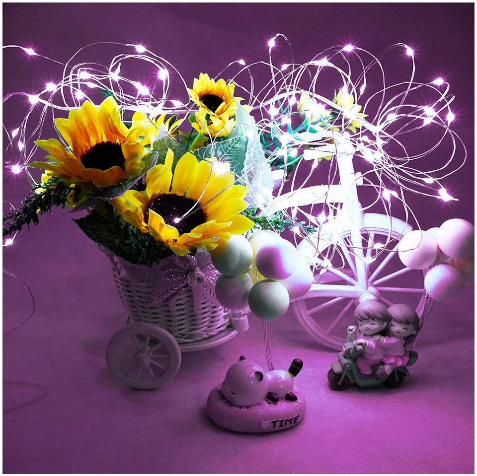 10M 5M 3M 2M Copper Wire LED Tinsel Garland Fairy Lights