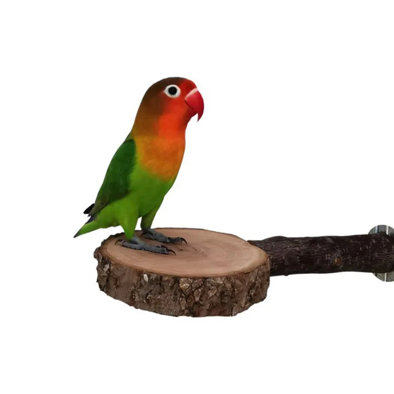 Natural Wood Pet Parrot Raw Wood Fork Tree Branch Stand Rack Squirrel Bird Hamster Branch Perches Chew Bite Toys Stick Hot Sale
