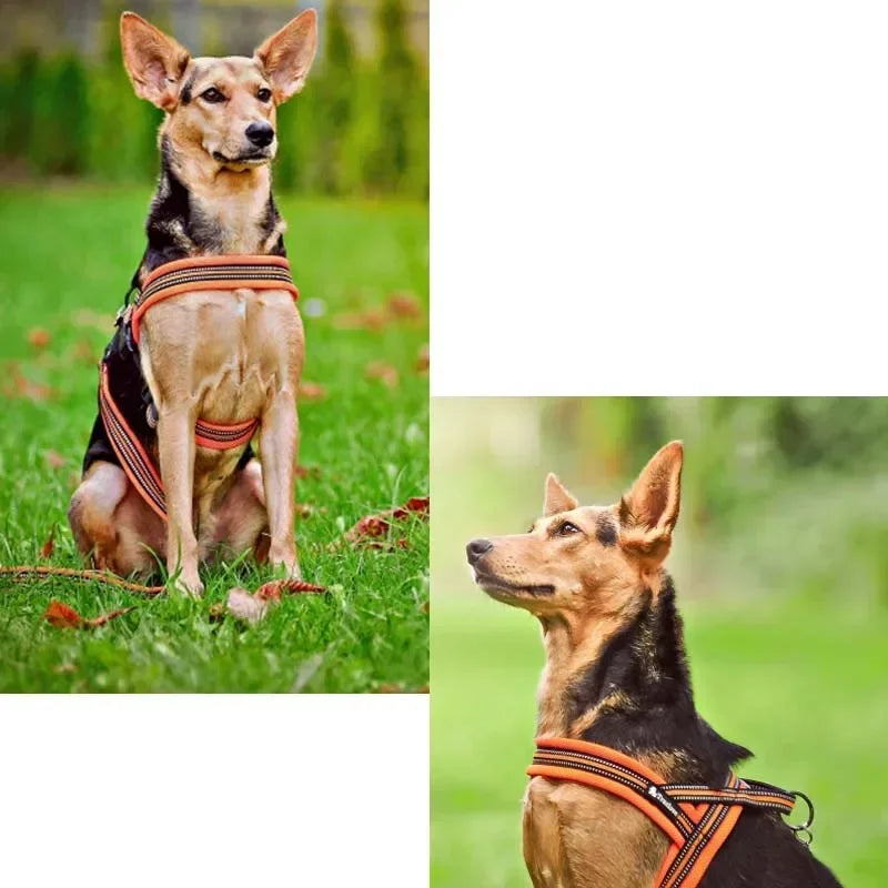 Truelove Soft Mesh Padded Nylon Dog Harness Vest 3M Reflective Security Dog Collar Easy Put on Pet Harness Pull-resistan TLH5811