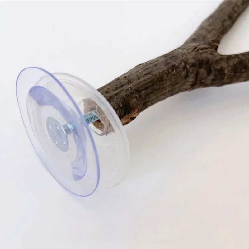 3pack Parrots Wall Bath Standing Rack Suction Cup Station Poles Interaction Toy for Budgies and Similar Birds