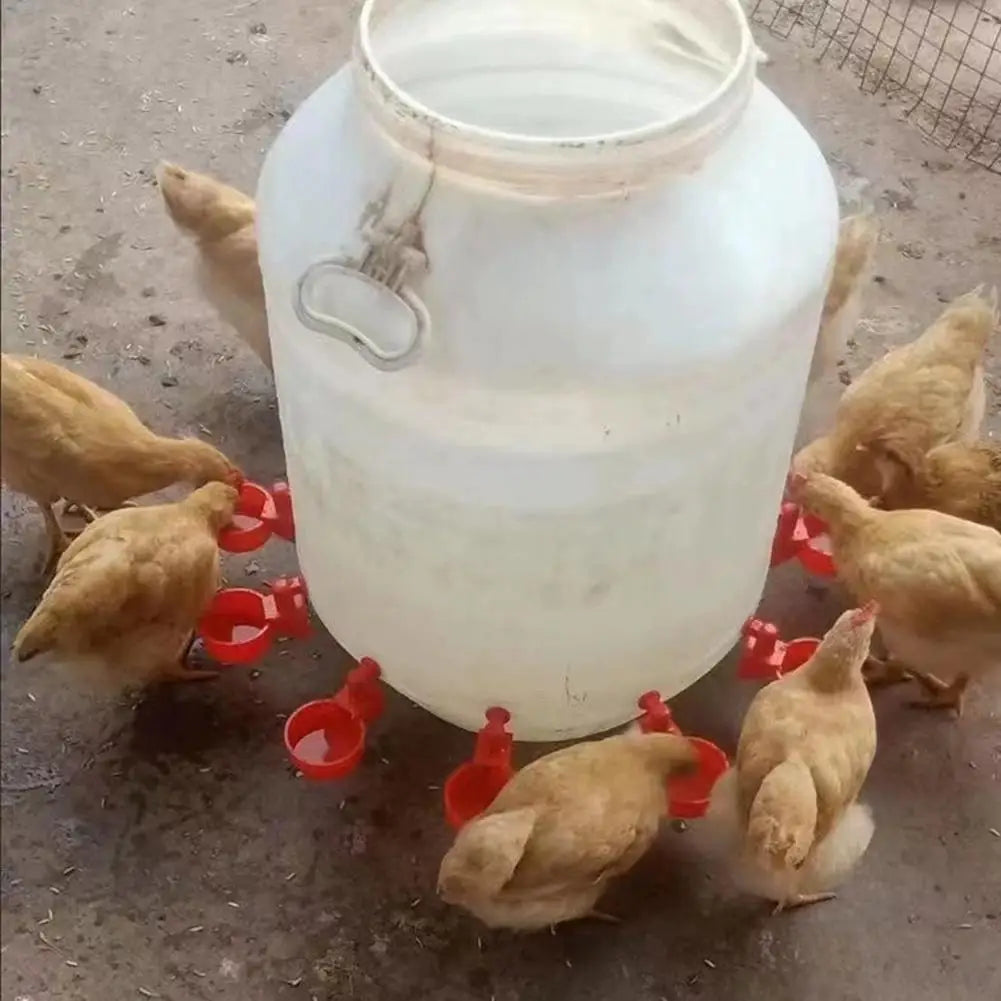 10 Pcs Automatic Poultry Drinking Bowl Chicken Waterer Cups Duck Drinking Machine Hanging Drinking Bowls Water Dispenser