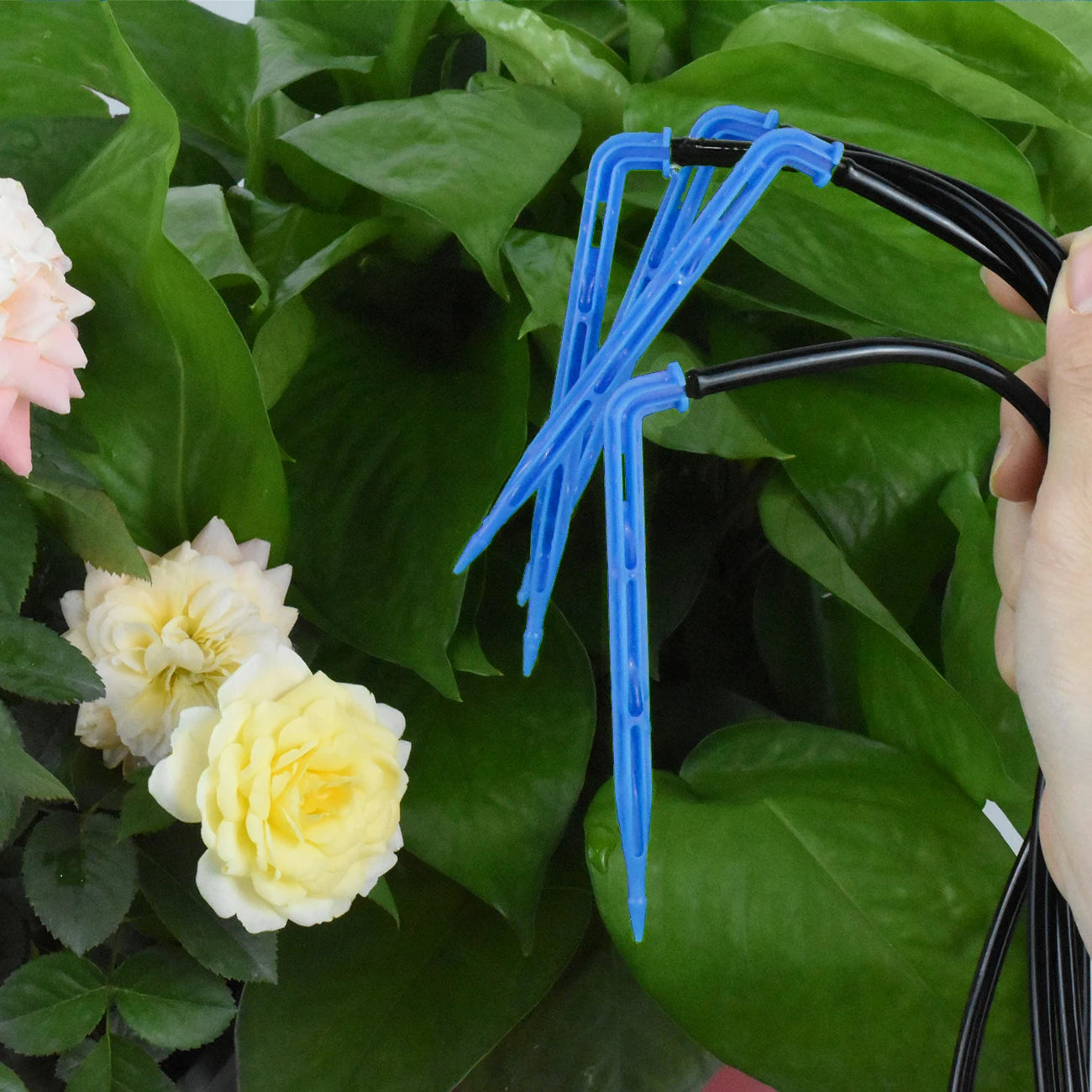 KESLA Greenhouse Drip Irrigation System 4-Way 3/5mm Automatic Watering Kit for Potted Plants 10 or 20 Sets