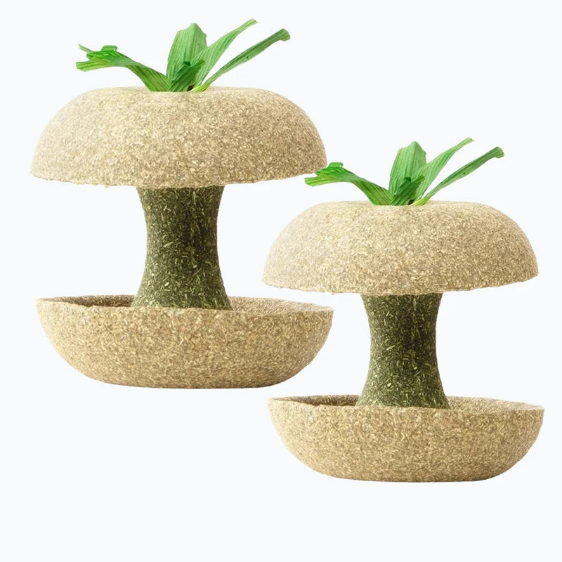 Unique Apple Core Shaped Pet Teeth Grinding Rod Tool Cute Hamster Chew Toys Creative Pet Feeding Supplies Accessories for Teeth