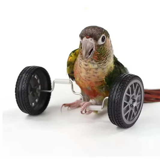 Creative Parrot Balance Toy Interactive Birds Toy Mini Intelligence Training Toy Pet Toy for Small Medium Birds Pet Supplies