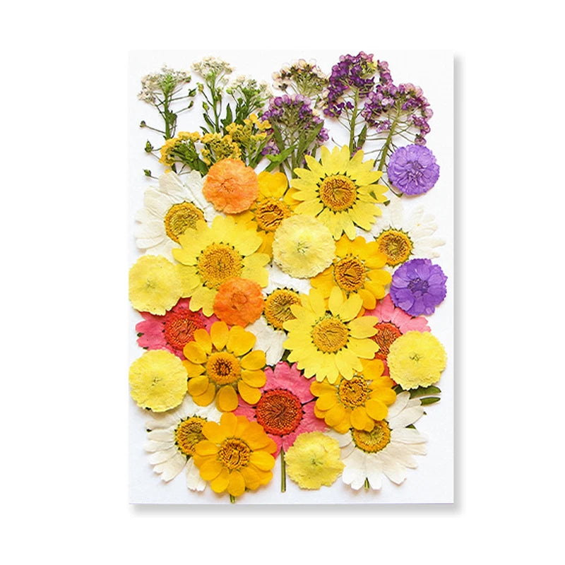 Dried Flowers Real Natural Plant Pressed Flower for Epoxy Resin DIY Keychain Pendant Jewelry Making