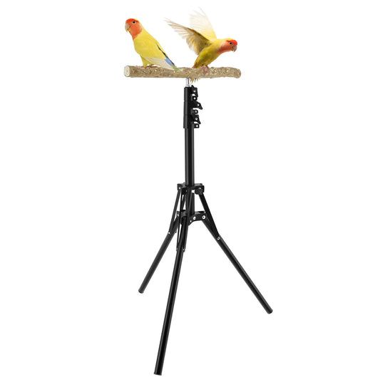 Wood Bird Branch Stand Height Adjustable Foldable Parrot Bird Training Perch Pet Bird Toy Portable Outdoor Perches Platform